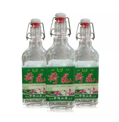 酒水銷售旺季，經銷商選品不再愁 這款產品助您精準布局